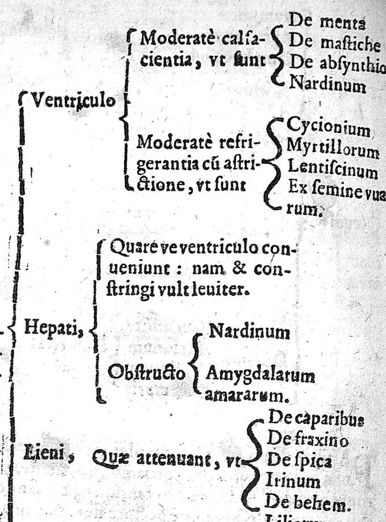 An illustration from Methodus curandorum omnium morborum... in tres libros distinctos, 1609, leaf 1043