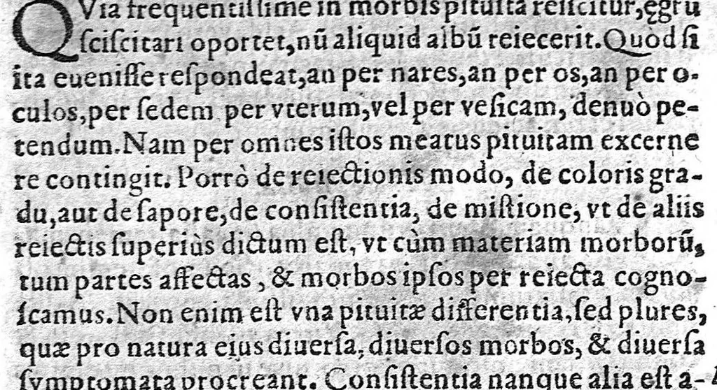 An illustration from Methodus curandorum omnium morborum... in tres libros distinctos, 1609, leaf 704