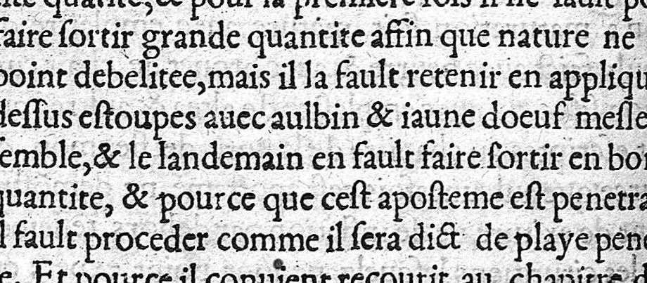 An illustration from De Vigo en françoys. La practique et cirurgie de excellent docteur en medecine Maistre Jehan de Vigo nouvellement imprimee et recogneue diligentement sur le latin avec les aphorismes et canons de cirurgie, composez par maistre Nicolas Godin docteur en medecine lesquelz sont inserez en la fin de ce present livre apres la partie compendieuse. Division de ladicte practique. La premiere partie est nommee la copieuse contenant neuf livres particuliers. La seconde est dicte compendieuse qui contient cinq livres particuliers : lesquelz sont declarez en la page sequente, 1542, leaf 254
