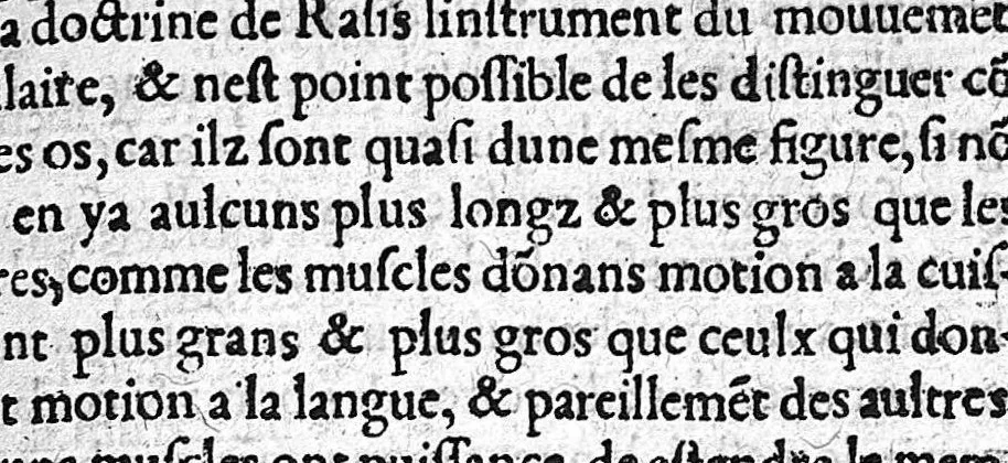 An illustration from De Vigo en françoys. La practique et cirurgie de excellent docteur en medecine Maistre Jehan de Vigo nouvellement imprimee et recogneue diligentement sur le latin avec les aphorismes et canons de cirurgie, composez par maistre Nicolas Godin docteur en medecine lesquelz sont inserez en la fin de ce present livre apres la partie compendieuse. Division de ladicte practique. La premiere partie est nommee la copieuse contenant neuf livres particuliers. La seconde est dicte compendieuse qui contient cinq livres particuliers : lesquelz sont declarez en la page sequente, 1542, leaf 47