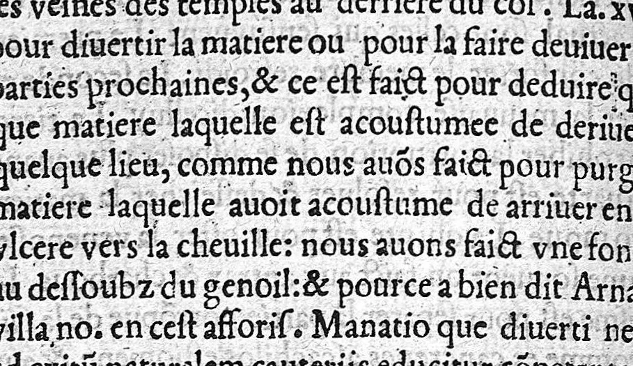 An illustration from De Vigo en françoys. La practique et cirurgie de excellent docteur en medecine Maistre Jehan de Vigo nouvellement imprimee et recogneue diligentement sur le latin avec les aphorismes et canons de cirurgie, composez par maistre Nicolas Godin docteur en medecine lesquelz sont inserez en la fin de ce present livre apres la partie compendieuse. Division de ladicte practique. La premiere partie est nommee la copieuse contenant neuf livres particuliers. La seconde est dicte compendieuse qui contient cinq livres particuliers : lesquelz sont declarez en la page sequente, 1542, leaf 768