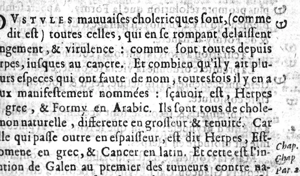 An illustration from La grande chirurgie...restituée par Laurent Joubert, 1632, leaf 148