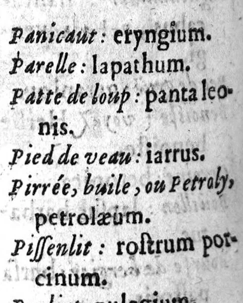 An illustration from Annotations...sur toute la chirurgie de M. Gui de Chauliac..suivie de Interprétation des langues...avec figures des instruments chirurgicaux..par Isaac Joubert, 1632, leaf 21