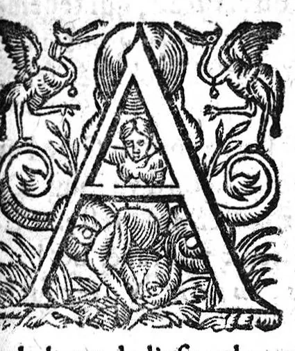 An illustration from Annotations...sur toute la chirurgie de M. Gui de Chauliac..suivie de Interprétation des langues...avec figures des instruments chirurgicaux..par Isaac Joubert, 1632, leaf 330