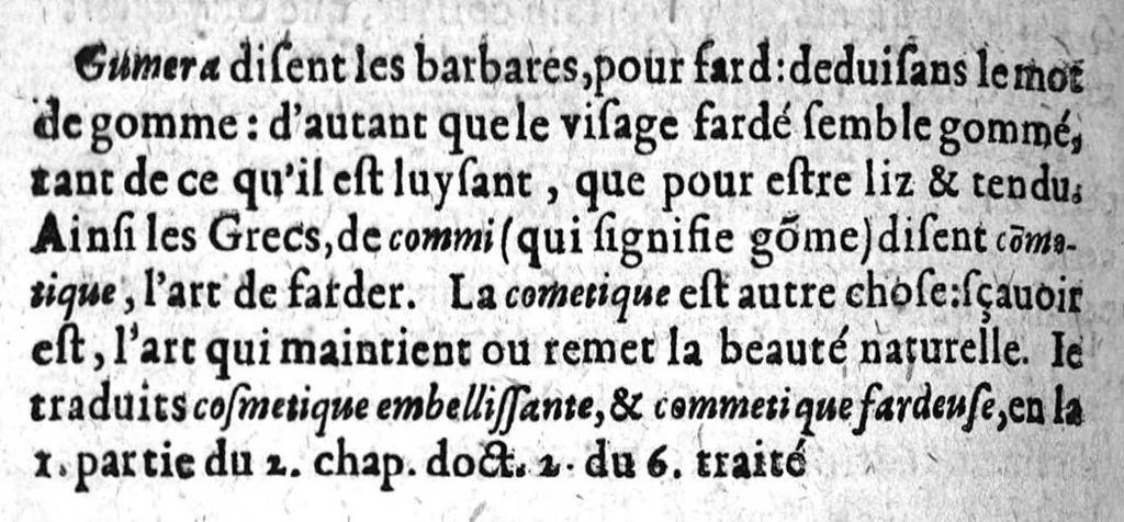 An illustration from Annotations...sur toute la chirurgie de M. Gui de Chauliac..suivie de Interprétation des langues...avec figures des instruments chirurgicaux..par Isaac Joubert, 1632, leaf 381