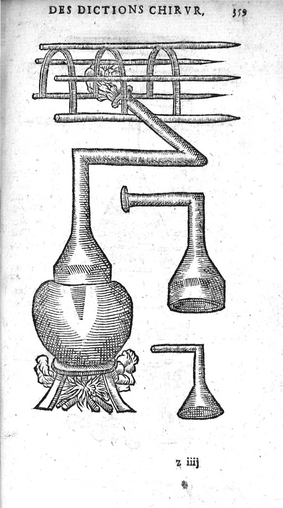 An illustration from Annotations...sur toute la chirurgie de M. Gui de Chauliac..suivie de Interprétation des langues...avec figures des instruments chirurgicaux..par Isaac Joubert, 1632, leaf 390