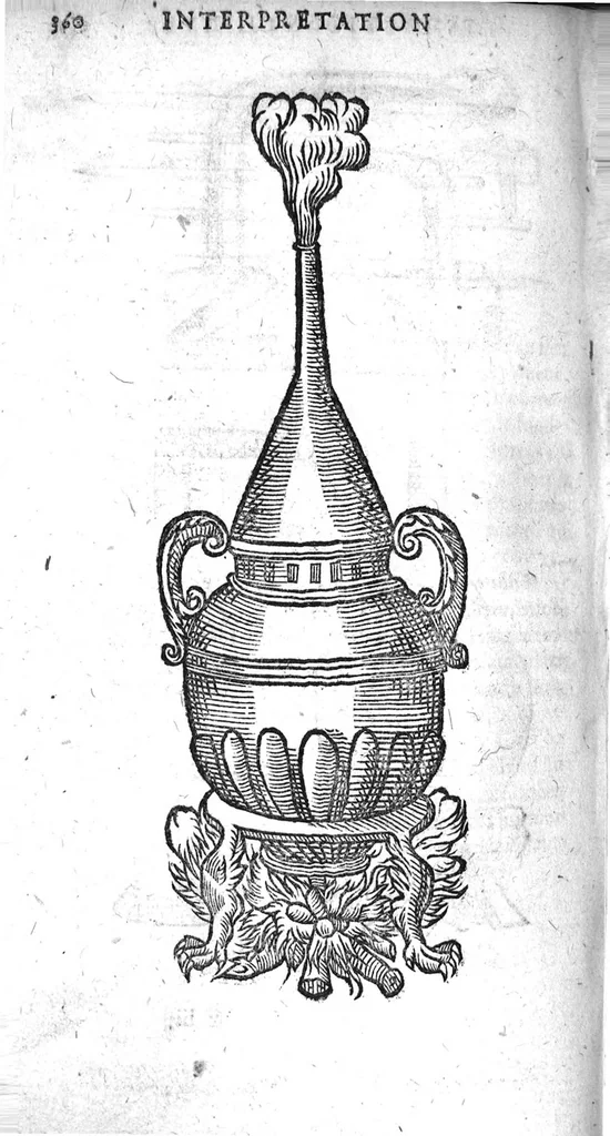 An illustration from Annotations...sur toute la chirurgie de M. Gui de Chauliac..suivie de Interprétation des langues...avec figures des instruments chirurgicaux..par Isaac Joubert, 1632, leaf 391