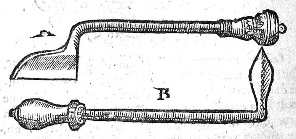 An illustration from Annotations...sur toute la chirurgie de M. Gui de Chauliac..suivie de Interprétation des langues...avec figures des instruments chirurgicaux..par Isaac Joubert, 1632, leaf 393