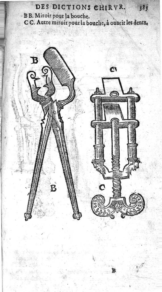 An illustration from Annotations...sur toute la chirurgie de M. Gui de Chauliac..suivie de Interprétation des langues...avec figures des instruments chirurgicaux..par Isaac Joubert, 1632, leaf 416