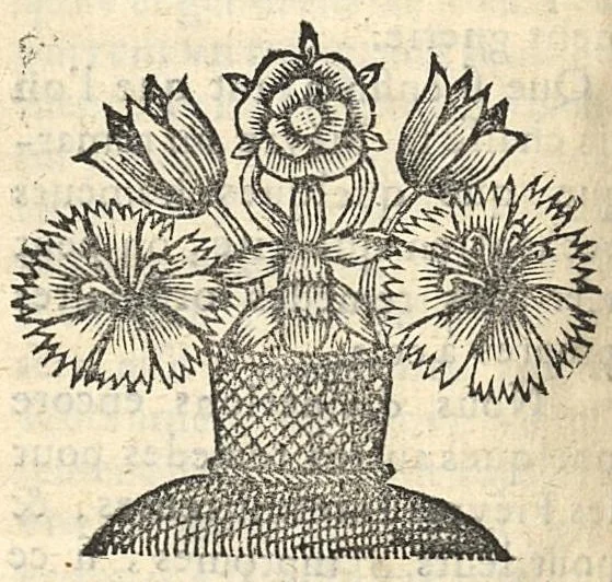 An illustration from Traitte de la nature et de l'usage du suc pancreatique ou plusieurs maladies sont expliquées, principalement les fievres intermittentes, 1666, leaf 189