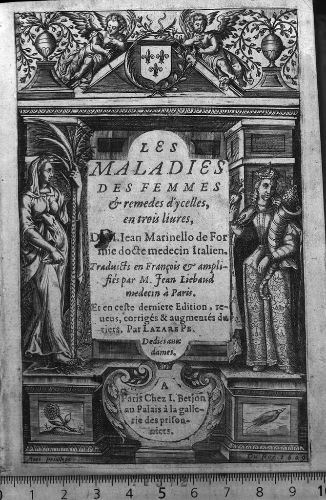 An illustration from Des maladies des femmes et remedes d'ycelles en trois livres...traduits en françois & amplifiés par M. Jean Liebaud...augmentés du tiers par Lazare Pe., 1609, leaf 0