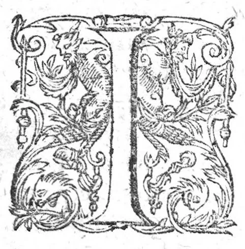 An illustration from Des maladies des femmes et remedes d'ycelles en trois livres...traduits en françois & amplifiés par M. Jean Liebaud...augmentés du tiers par Lazare Pe., 1609, leaf 510