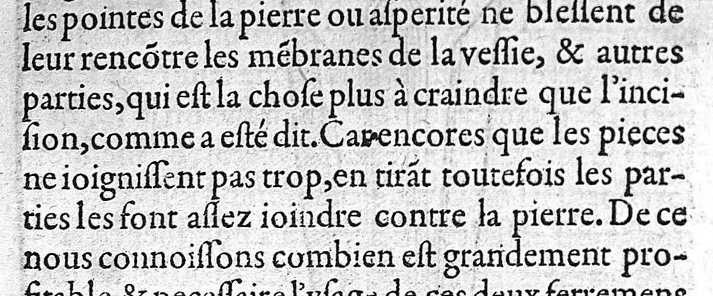 An illustration from Traité des Hernies contenant une ample declaration de toutes leurs especes, et autres excellentes parties de la Chirurgie,assavoir de la pierre, des cataractes des yeux, et autres maladies, desquelles comme la cure est perilleuse, aussi est elle de peu d’hommes bien exercée : Avec leurs causes, signes, accidens, anatomie des parties affectées, et leur entiere guarison : Par Pierre Franco de Turriers en Provence, demeurant à present à Orange, 1561, leaf 182