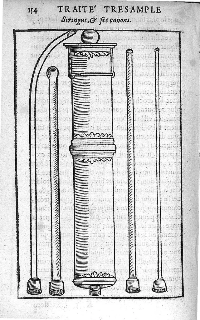 An illustration from Traité des Hernies contenant une ample declaration de toutes leurs especes, et autres excellentes parties de la Chirurgie,assavoir de la pierre, des cataractes des yeux, et autres maladies, desquelles comme la cure est perilleuse, aussi est elle de peu d’hommes bien exercée : Avec leurs causes, signes, accidens, anatomie des parties affectées, et leur entiere guarison : Par Pierre Franco de Turriers en Provence, demeurant à present à Orange, 1561, leaf 185
