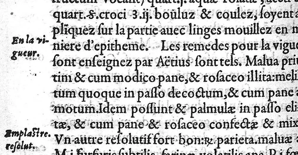 An illustration from Traité des Hernies contenant une ample declaration de toutes leurs especes, et autres excellentes parties de la Chirurgie,assavoir de la pierre, des cataractes des yeux, et autres maladies, desquelles comme la cure est perilleuse, aussi est elle de peu d’hommes bien exercée : Avec leurs causes, signes, accidens, anatomie des parties affectées, et leur entiere guarison : Par Pierre Franco de Turriers en Provence, demeurant à present à Orange, 1561, leaf 443