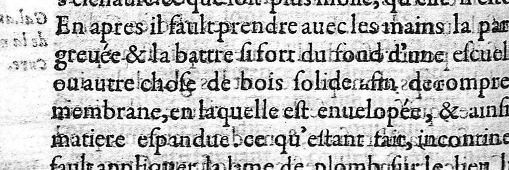 An illustration from Traité des Hernies contenant une ample declaration de toutes leurs especes, et autres excellentes parties de la Chirurgie,assavoir de la pierre, des cataractes des yeux, et autres maladies, desquelles comme la cure est perilleuse, aussi est elle de peu d’hommes bien exercée : Avec leurs causes, signes, accidens, anatomie des parties affectées, et leur entiere guarison : Par Pierre Franco de Turriers en Provence, demeurant à present à Orange, 1561, leaf 501