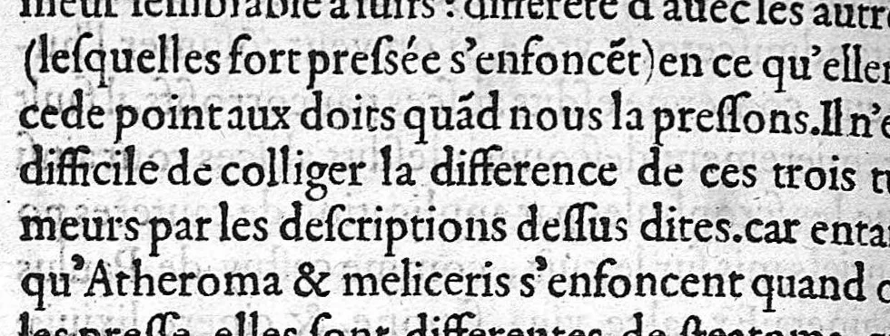 An illustration from Traité des Hernies contenant une ample declaration de toutes leurs especes, et autres excellentes parties de la Chirurgie,assavoir de la pierre, des cataractes des yeux, et autres maladies, desquelles comme la cure est perilleuse, aussi est elle de peu d’hommes bien exercée : Avec leurs causes, signes, accidens, anatomie des parties affectées, et leur entiere guarison : Par Pierre Franco de Turriers en Provence, demeurant à present à Orange, 1561, leaf 511
