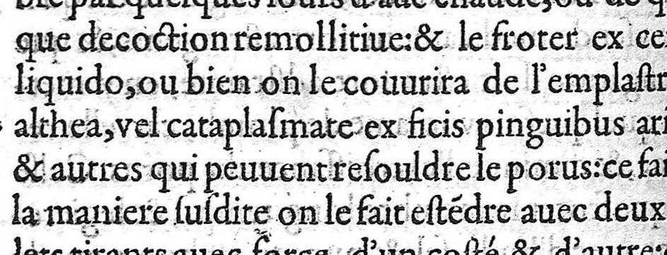 An illustration from Traité des Hernies contenant une ample declaration de toutes leurs especes, et autres excellentes parties de la Chirurgie,assavoir de la pierre, des cataractes des yeux, et autres maladies, desquelles comme la cure est perilleuse, aussi est elle de peu d’hommes bien exercée : Avec leurs causes, signes, accidens, anatomie des parties affectées, et leur entiere guarison : Par Pierre Franco de Turriers en Provence, demeurant à present à Orange, 1561, leaf 559
