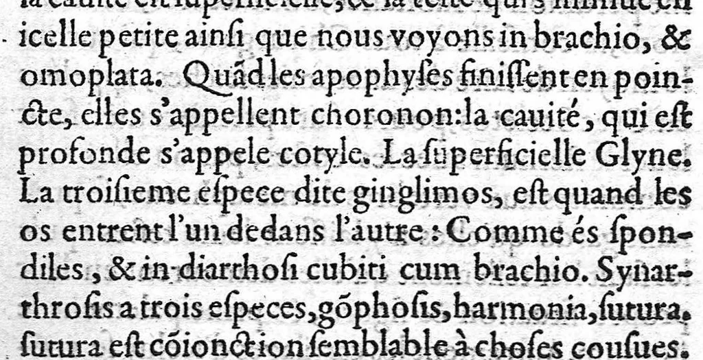 An illustration from Traité des Hernies contenant une ample declaration de toutes leurs especes, et autres excellentes parties de la Chirurgie,assavoir de la pierre, des cataractes des yeux, et autres maladies, desquelles comme la cure est perilleuse, aussi est elle de peu d’hommes bien exercée : Avec leurs causes, signes, accidens, anatomie des parties affectées, et leur entiere guarison : Par Pierre Franco de Turriers en Provence, demeurant à present à Orange, 1561, leaf 578