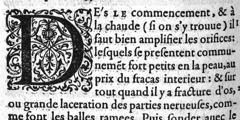 An illustration from Traitté des arcbusades, divisé en trois parties, avec plusieurs autres traittés concernans ceste matiere, desquels le catalogue est en la 16. page suyvante. Par M. Laurens Joubert, Medecin ordinaire du Roy, et du Roy de Navarre, premier Docteur regent, Chancelier et Juge de l’Université en medecine de Montpellier. Tierce edition, sur l’exemplaire de l’auteur, reveu, corrigé et augmenté presque d’un tiers, 1581, leaf 195