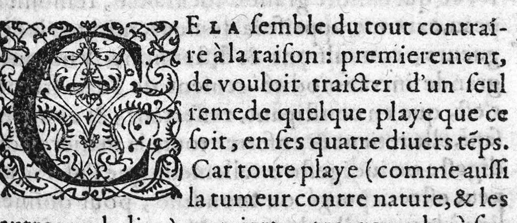 An illustration from Traitté des arcbusades, divisé en trois parties, avec plusieurs autres traittés concernans ceste matiere, desquels le catalogue est en la 16. page suyvante. Par M. Laurens Joubert, Medecin ordinaire du Roy, et du Roy de Navarre, premier Docteur regent, Chancelier et Juge de l’Université en medecine de Montpellier. Tierce edition, sur l’exemplaire de l’auteur, reveu, corrigé et augmenté presque d’un tiers, 1581, leaf 344