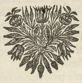 An illustration from La Recherche de la vérité dans la médecine et les découvertes qui en ont été faites par diverses expériences et observations nouvelles, contenant 6 traités où l'on fait voir les abus et les erreurs quis'y sont introduites avec les moyens de s'en défendre et pour découvrir la vérité de cette science..., 1697, leaf 17