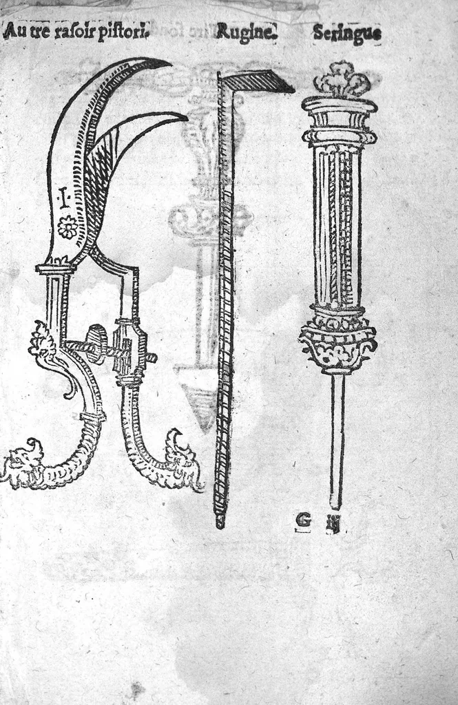 An illustration from Officinne et jardin de chirurgie militaire contenant les instrumentz et plantes tres necessaires a tous Chi[r]urgiens...avec certains cathalogues des ingrediens propres à chacun membre tant similaires qu’organiques. Dedié à haut et puissant seigneur M. François Gouffier, sieur de Crevecoeur Chevalier des deux ordres du Roy. Plus un traicté des contrepoisons et cure de la Peste et declaration d’un Enigme le tout experimenté et mis en lumiere pour l’utilité du public. Par Esaïe le Lievre Chirurgien,, 1583, leaf 100
