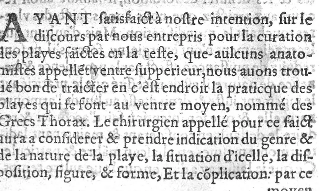 An illustration from Officinne et jardin de chirurgie militaire contenant les instrumentz et plantes tres necessaires a tous Chi[r]urgiens...avec certains cathalogues des ingrediens propres à chacun membre tant similaires qu’organiques. Dedié à haut et puissant seigneur M. François Gouffier, sieur de Crevecoeur Chevalier des deux ordres du Roy. Plus un traicté des contrepoisons et cure de la Peste et declaration d’un Enigme le tout experimenté et mis en lumiere pour l’utilité du public. Par Esaïe le Lievre Chirurgien,, 1583, leaf 47