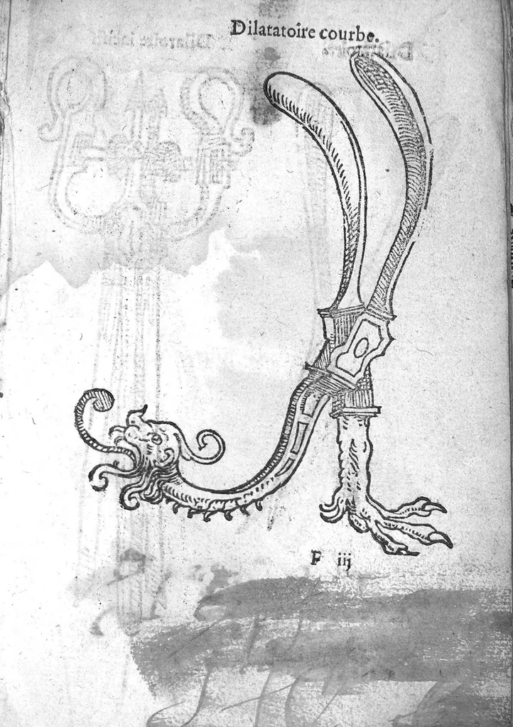 An illustration from Officinne et jardin de chirurgie militaire contenant les instrumentz et plantes tres necessaires a tous Chi[r]urgiens...avec certains cathalogues des ingrediens propres à chacun membre tant similaires qu’organiques. Dedié à haut et puissant seigneur M. François Gouffier, sieur de Crevecoeur Chevalier des deux ordres du Roy. Plus un traicté des contrepoisons et cure de la Peste et declaration d’un Enigme le tout experimenté et mis en lumiere pour l’utilité du public. Par Esaïe le Lievre Chirurgien,, 1583, leaf 84