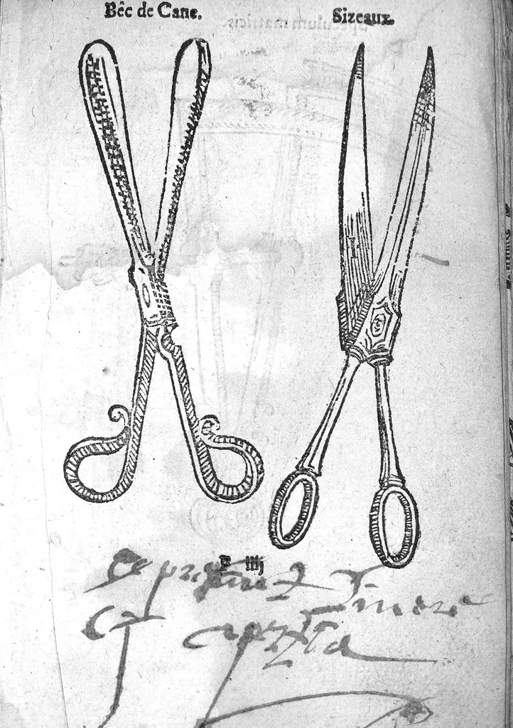 An illustration from Officinne et jardin de chirurgie militaire contenant les instrumentz et plantes tres necessaires a tous Chi[r]urgiens...avec certains cathalogues des ingrediens propres à chacun membre tant similaires qu’organiques. Dedié à haut et puissant seigneur M. François Gouffier, sieur de Crevecoeur Chevalier des deux ordres du Roy. Plus un traicté des contrepoisons et cure de la Peste et declaration d’un Enigme le tout experimenté et mis en lumiere pour l’utilité du public. Par Esaïe le Lievre Chirurgien,, 1583, leaf 86
