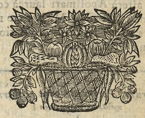 An illustration from Factum pour maistre Nicolas Postel...contre Maistres Mathieu Maheult, Jean Baptiste Calart...ou dissertation sur les peripneumonies d'Hyver,..., 1685, leaf 22