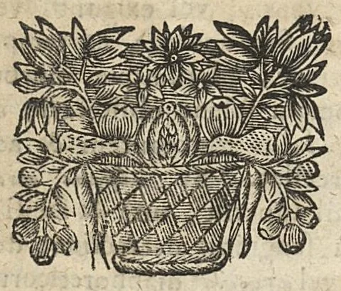 An illustration from Factum pour maistre Nicolas Postel...contre Maistres Mathieu Maheult, Jean Baptiste Calart...ou dissertation sur les peripneumonies d'Hyver,..., 1685, leaf 33