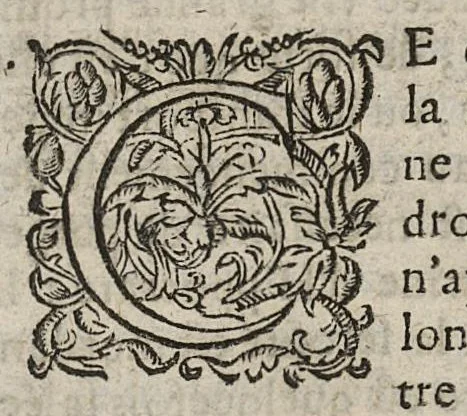 An illustration from Lettre à un docteur et professeur en médecine touchant la connoissance du chyle et de ses vaisseaux qui le portent au coeur..., 1656, leaf 46