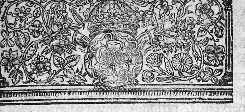 An illustration from De Rachitide sive morbo puerili, qui vulgo "the rickets" dicitur, tractatus, opera primo ac potissimum Francisci Glissonii, conscriptus, adscitis in operis societatem Georgio Bate et Ahasuero Regemortero, 1650, leaf 30
