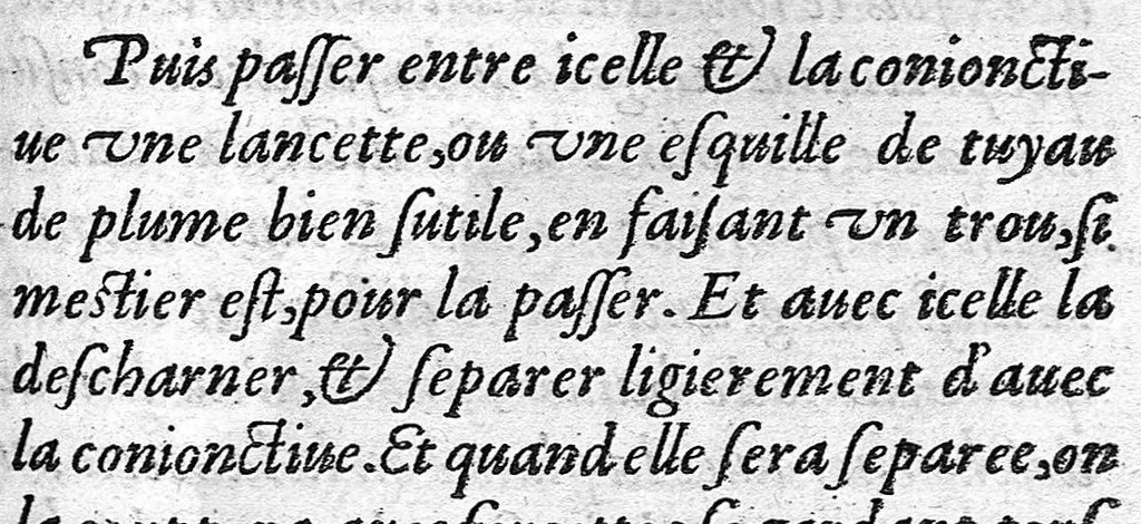 An illustration from Petit traite contenant une des parties principalles de Chirurgie, laquelle les Chirurgiens hernieres exercent, ainsi quil est montre en la page suivante. Fait par Pierre Franco chirurgien de Lausane. Il faut endurer pour durer, 1556, leaf 112