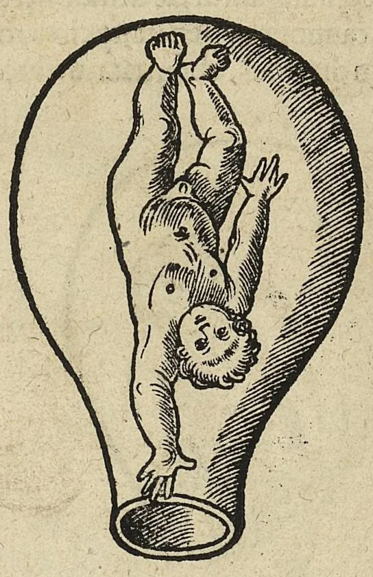 An illustration from De partu hominis, et quae circa ipsum accidunt. Libellus D. Eucharii Rhodionis, 1532, leaf 59