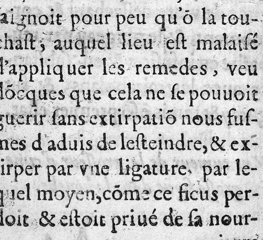 An illustration from Observations medicinales et chirurgicales, avec histoires, noms, pays, saisons & temoignages, 1617, leaf 130