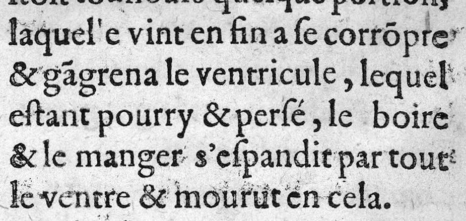 An illustration from Observations medicinales et chirurgicales, avec histoires, noms, pays, saisons & temoignages, 1617, leaf 137