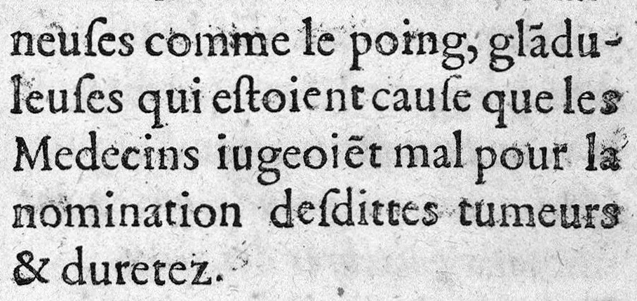 An illustration from Observations medicinales et chirurgicales, avec histoires, noms, pays, saisons & temoignages, 1617, leaf 137
