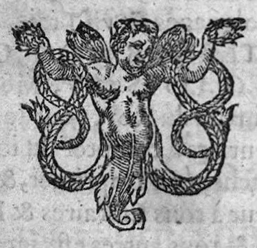 An illustration from Observations medicinales et chirurgicales, avec histoires, noms, pays, saisons & temoignages, 1617, leaf 26