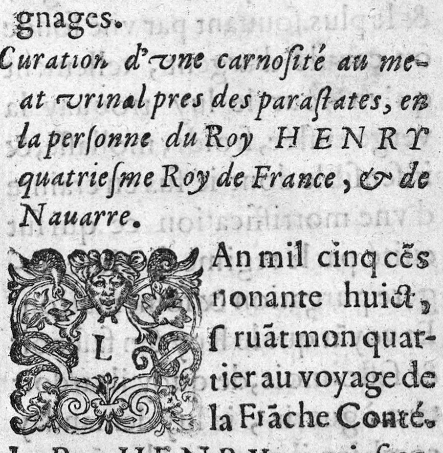 An illustration from Observations medicinales et chirurgicales, avec histoires, noms, pays, saisons & temoignages, 1617, leaf 27