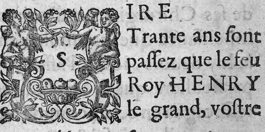 An illustration from Observations medicinales et chirurgicales, avec histoires, noms, pays, saisons & temoignages, 1617, leaf 5