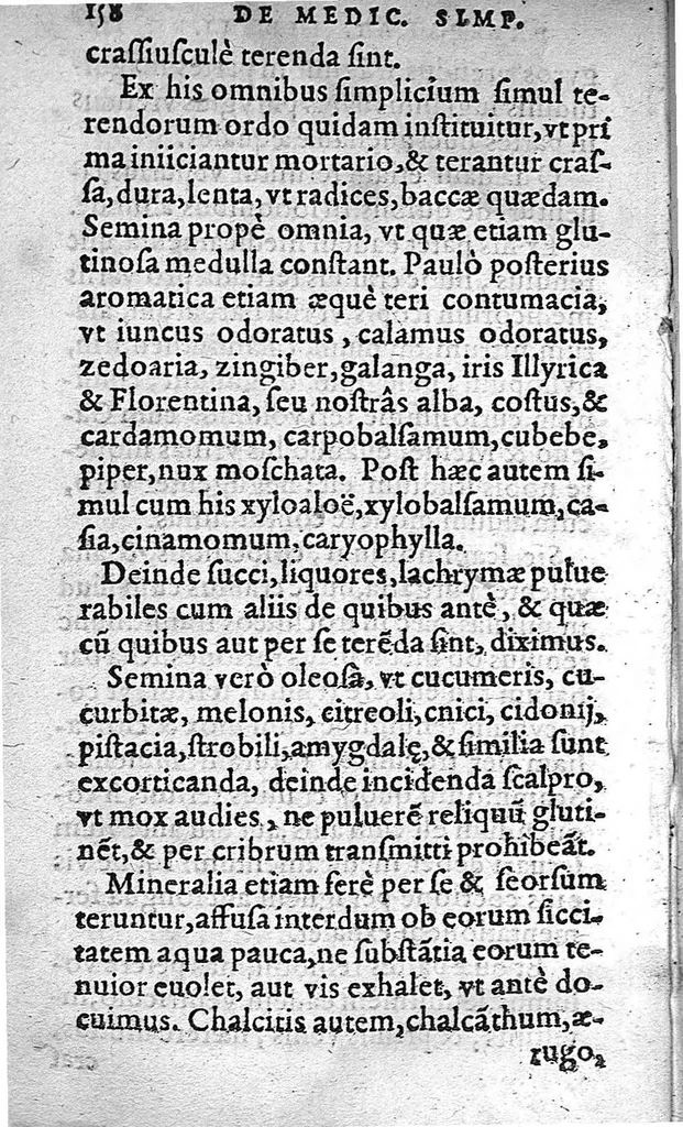 An illustration from Pharmacopoeia, seu de medicamentorum simplicium delectu, preparationibus, mistionis modo, libri tres, 1565, leaf 157