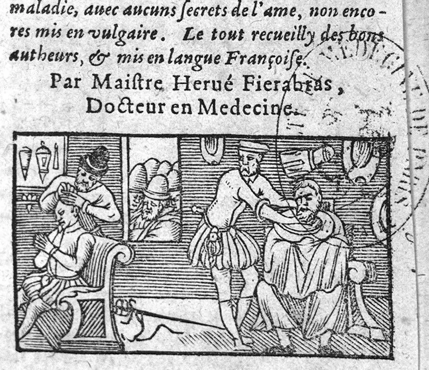 An illustration from Methode briefve et facile pour aisément parvenir à la vraye intelligence de la Chirurgie, en laquelle est declaree l’admirable construction du corps humain. Le symbole du corps avec l’ame : Regime de vivre, tressingulier. La maniere de garder sa santé, et d’eviter maladie, avec aucuns secrets de l’ame, non encores mis en vulgaire. Le tout recueilly des bons autheurs et mis en langue Françoise. Par maistre Hervé Fierabras, Docteur en Medecine, 1583, leaf 0