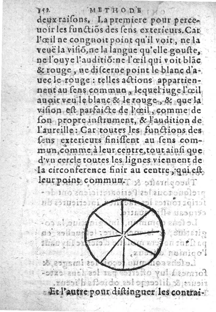 An illustration from Methode briefve et facile pour aisément parvenir à la vraye intelligence de la Chirurgie, en laquelle est declaree l’admirable construction du corps humain. Le symbole du corps avec l’ame : Regime de vivre, tressingulier. La maniere de garder sa santé, et d’eviter maladie, avec aucuns secrets de l’ame, non encores mis en vulgaire. Le tout recueilly des bons autheurs et mis en langue Françoise. Par maistre Hervé Fierabras, Docteur en Medecine, 1583, leaf 151
