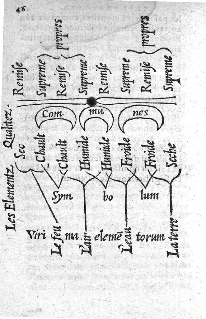 An illustration from Methode briefve et facile pour aisément parvenir à la vraye intelligence de la Chirurgie, en laquelle est declaree l’admirable construction du corps humain. Le symbole du corps avec l’ame : Regime de vivre, tressingulier. La maniere de garder sa santé, et d’eviter maladie, avec aucuns secrets de l’ame, non encores mis en vulgaire. Le tout recueilly des bons autheurs et mis en langue Françoise. Par maistre Hervé Fierabras, Docteur en Medecine, 1583, leaf 45