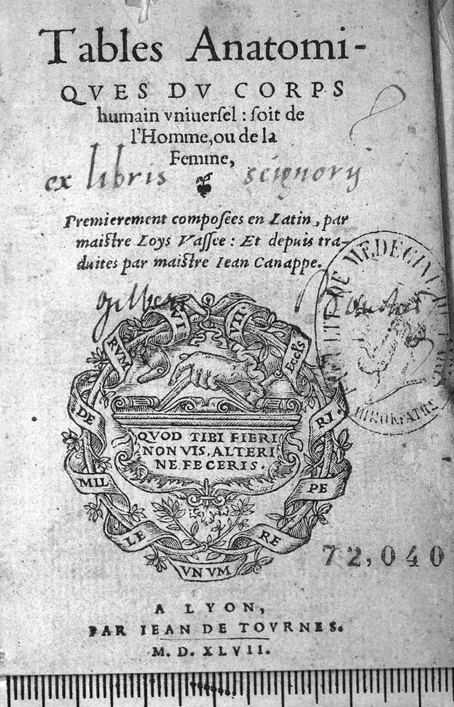 An illustration from Tables anatomiques du corps humain universel : soit de l’Homme, ou de la Femme. Premierement composees en Latin, par maistre Loys Vassee : Et depuis traduites par Jean Canappe, 1547, leaf 0