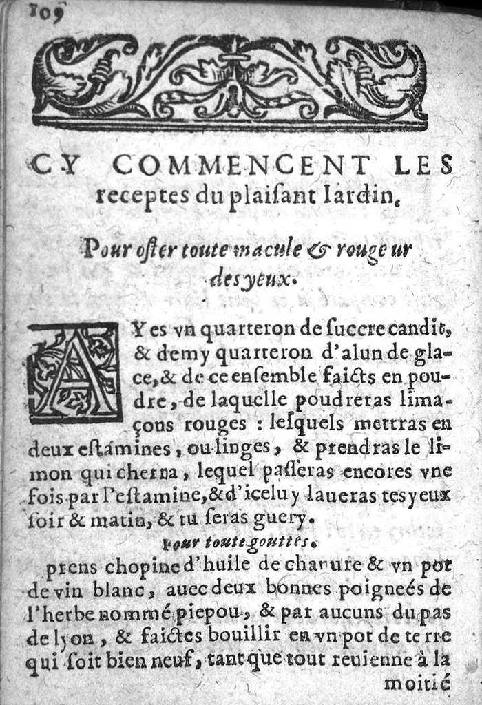 An illustration from Bastiment de receptes, traduit de l'italien en françois, augmenté d'une infinité de beaux secrets depuis peu mis en usage, avec un autre petit traité de recepte intitulé le plaisant jardin,, 1645, leaf 117