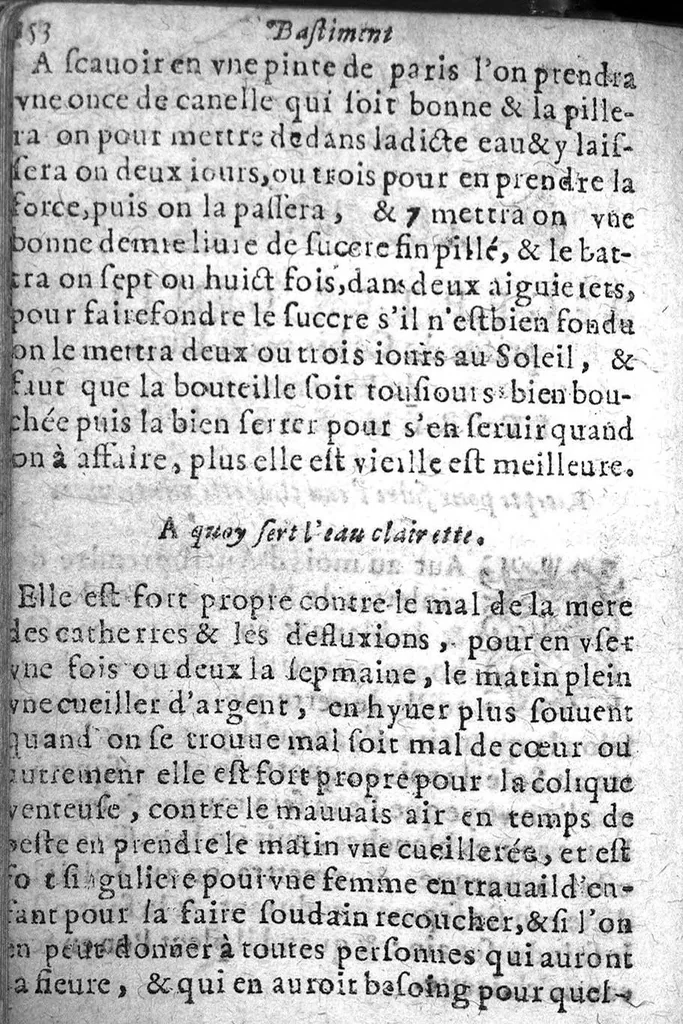 An illustration from Bastiment de receptes, traduit de l'italien en françois, augmenté d'une infinité de beaux secrets depuis peu mis en usage, avec un autre petit traité de recepte intitulé le plaisant jardin,, 1645, leaf 161