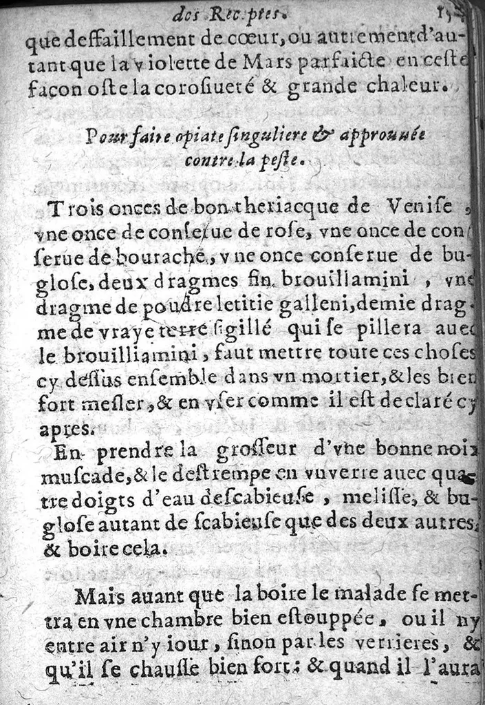 An illustration from Bastiment de receptes, traduit de l'italien en françois, augmenté d'une infinité de beaux secrets depuis peu mis en usage, avec un autre petit traité de recepte intitulé le plaisant jardin,, 1645, leaf 162